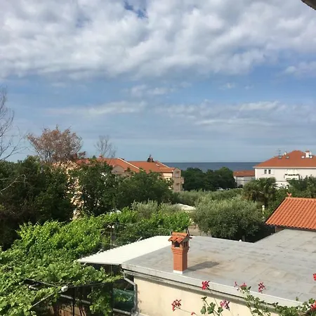 App-amelijas * Zambratija (Istria)