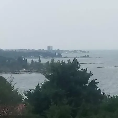 App-amelijas Zambratija (Istria)
