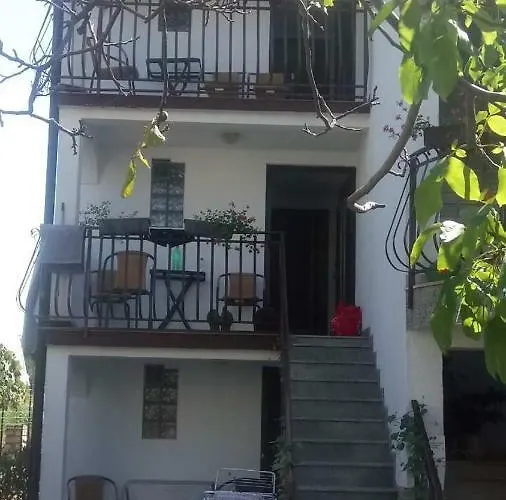 App-amelijas 잠브라티야