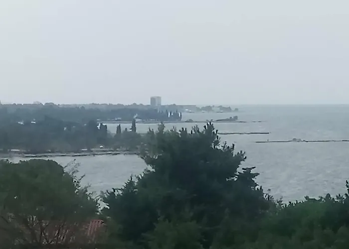 App-amelijas 잠브라티야