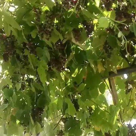 דירה App-amelijas זמברטיה