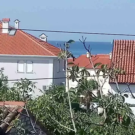 Apartman App-amelijas Zambratija (Istria)